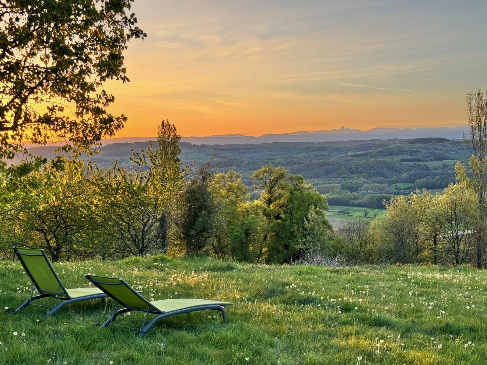 Deux transats dans la prairie fleurie face à la vallée