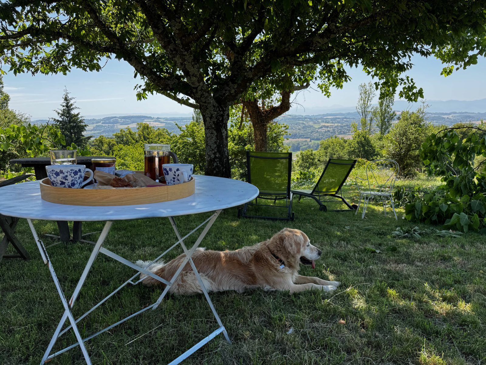 Table du petit-déjeuner sous l'arbre, le chien allongé, vue sur les collines