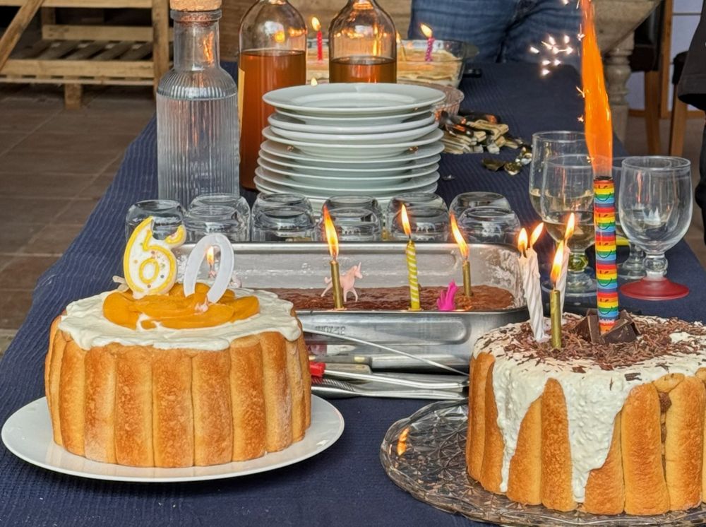 Deux gâteaux d'anniversaire aux bougies allumées sur la table de fête