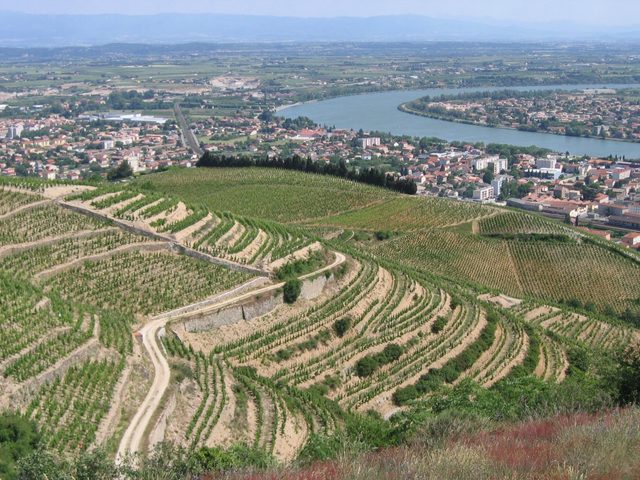 Les terrasses de vignes de l'Hermitage au-dessus de Tain