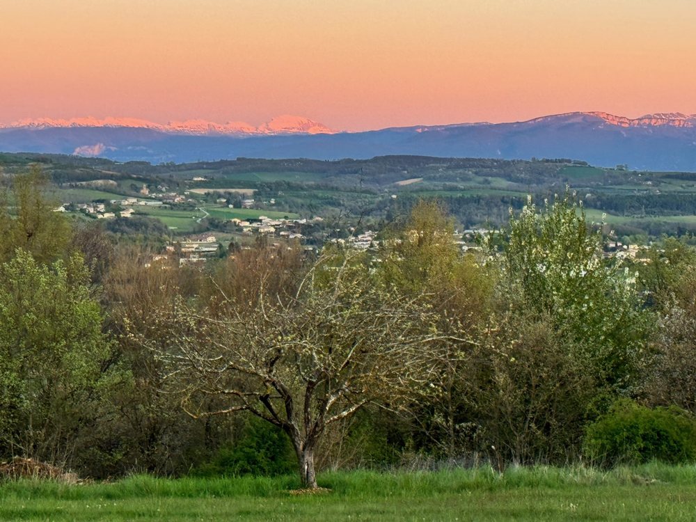 Crépuscule rose sur le Vercors, arbres fruitiers au premier plan